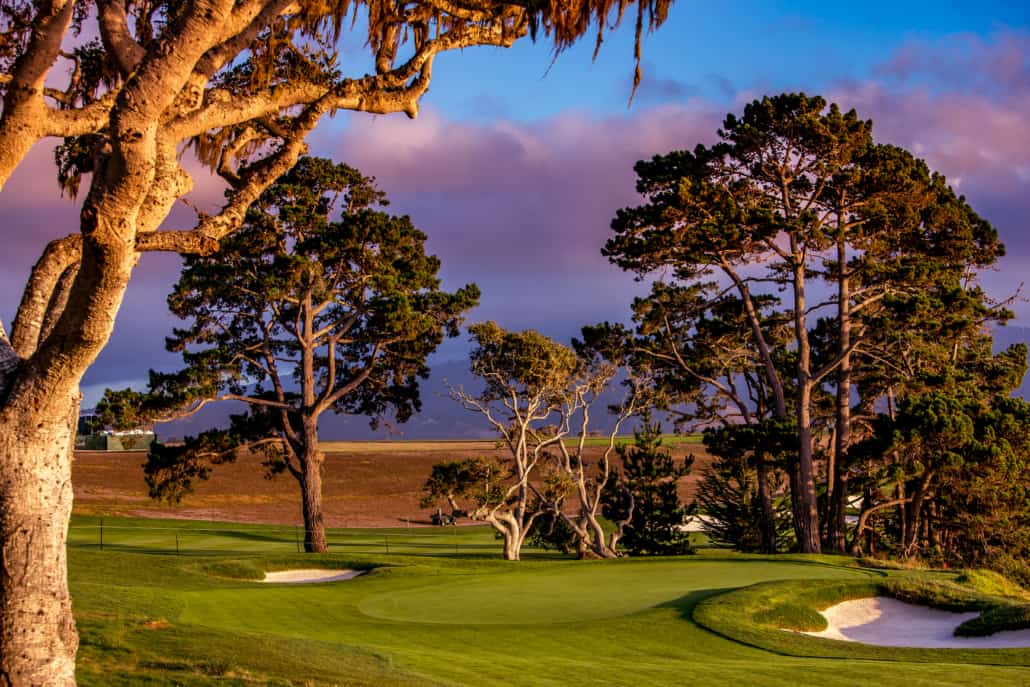 Pebble Beach: Golf hotspot and nature reserve - Golf Sustainable