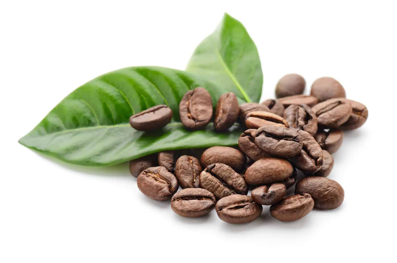 Fairtrade-Kaffee auf Golfanlagen von Lecobo Coffee