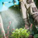 Greenkeeper beim Versprühen eines Pestizids auf einer Pflanze