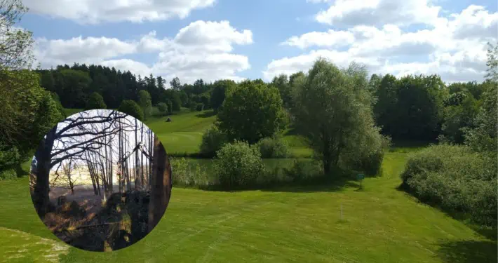 Blick auf den Golfplatz Erding-Grünbach mit einem eingeblendeten Foto eines Erlenbruchwaldes
