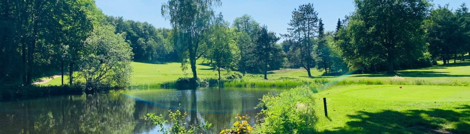 Blick auf einen Teich und alte Bäume im Mittelholsteinischen Golf-Club Aukrug