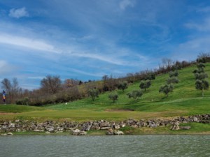 Blick auf die Olivenhänge neben einem Grün des Golfplatzes Therme di Saturnia