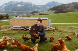 Blick auf Christian Seiringer und die Hühner im Landgut Schloss Pichlarn