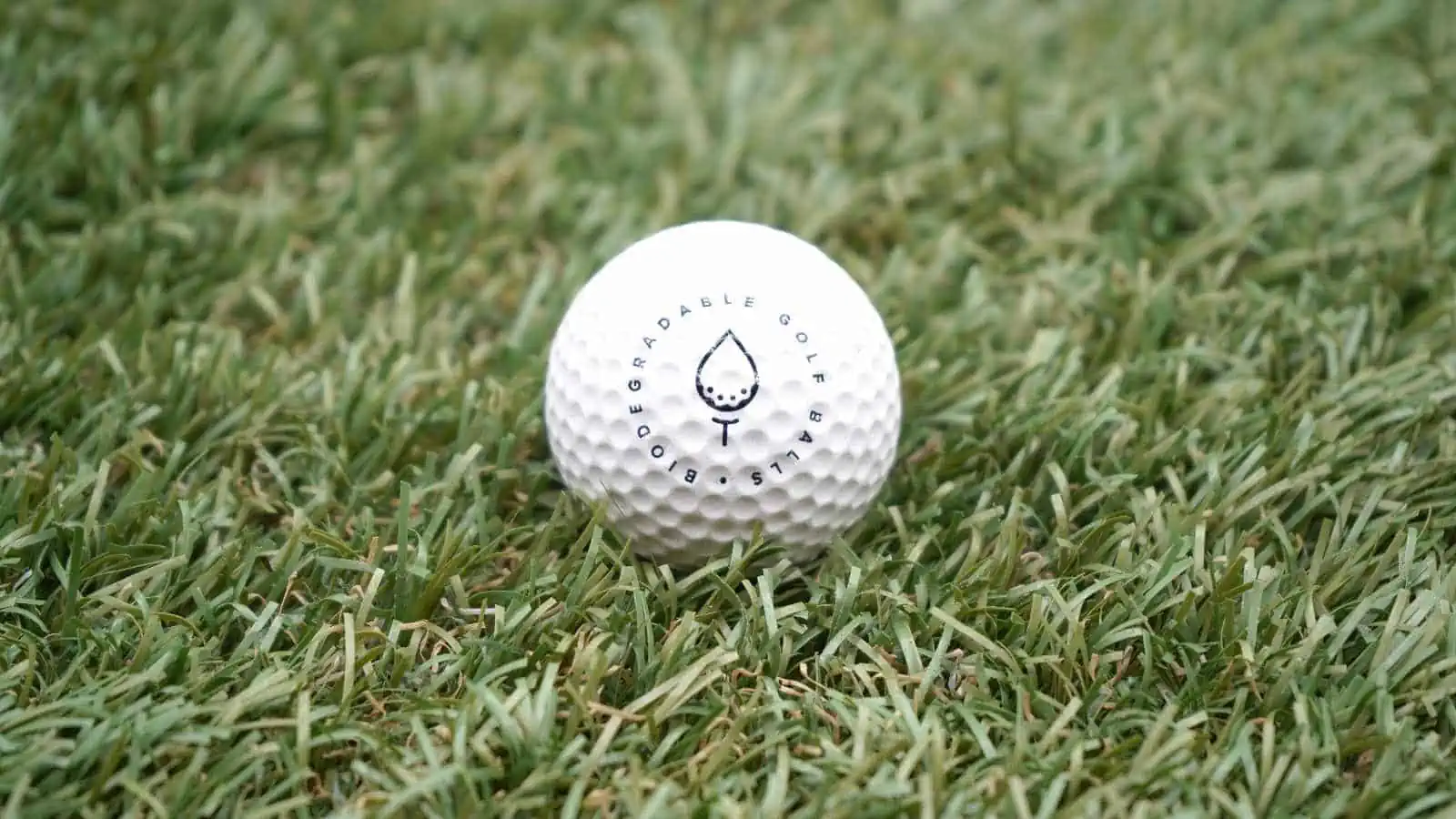Biologisch abbaubare Golfbälle "biodegradable golf balls"