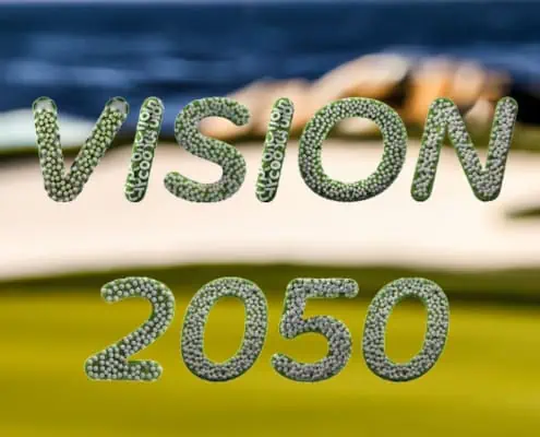 Schriftzug Vision 2050