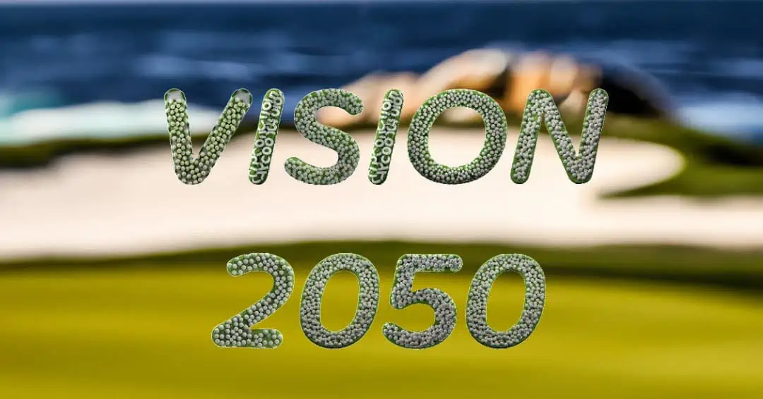 Schriftzug Vision 2050