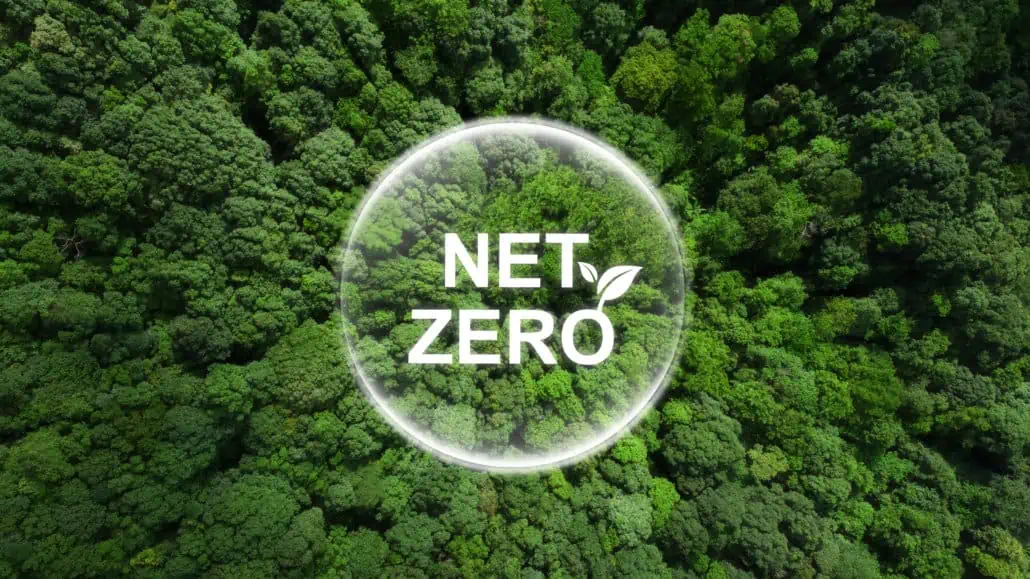Blick auf einen Wald mit dem übergeblendeten Text Net Zero