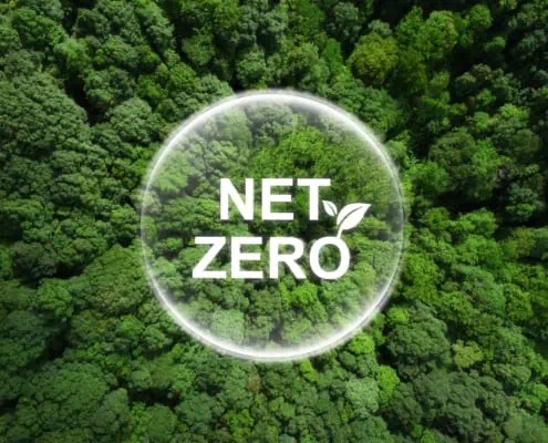 Blick auf einen Wald mit dem übergeblendeten Text Net Zero