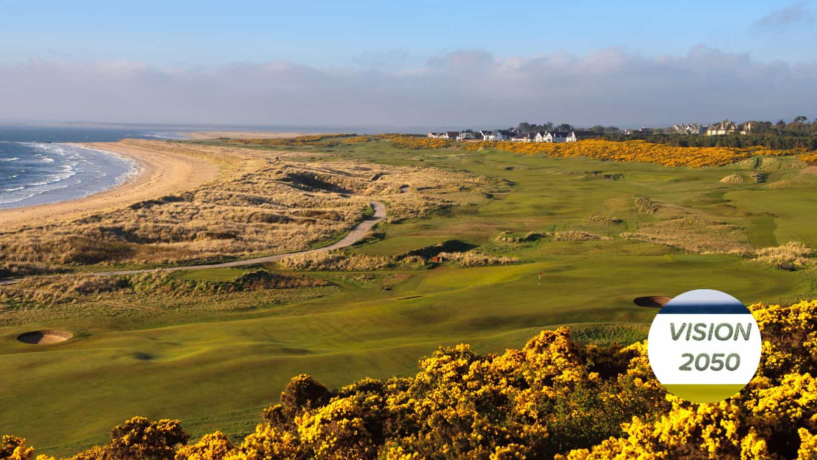 Blick auf den Golfplatz Royal Dornoch mit viel gelbem Ginster