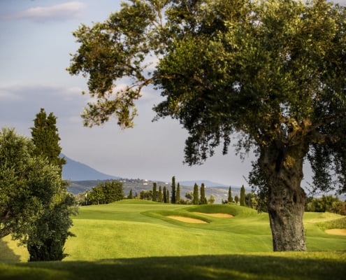 Blick auf den Dunes Course von Costa Navarino