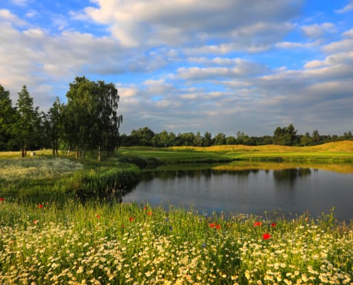View on one of the holes at The Wisley Golf Club