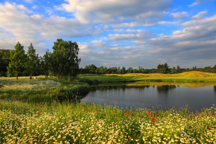 View on one of the holes at The Wisley Golf Club