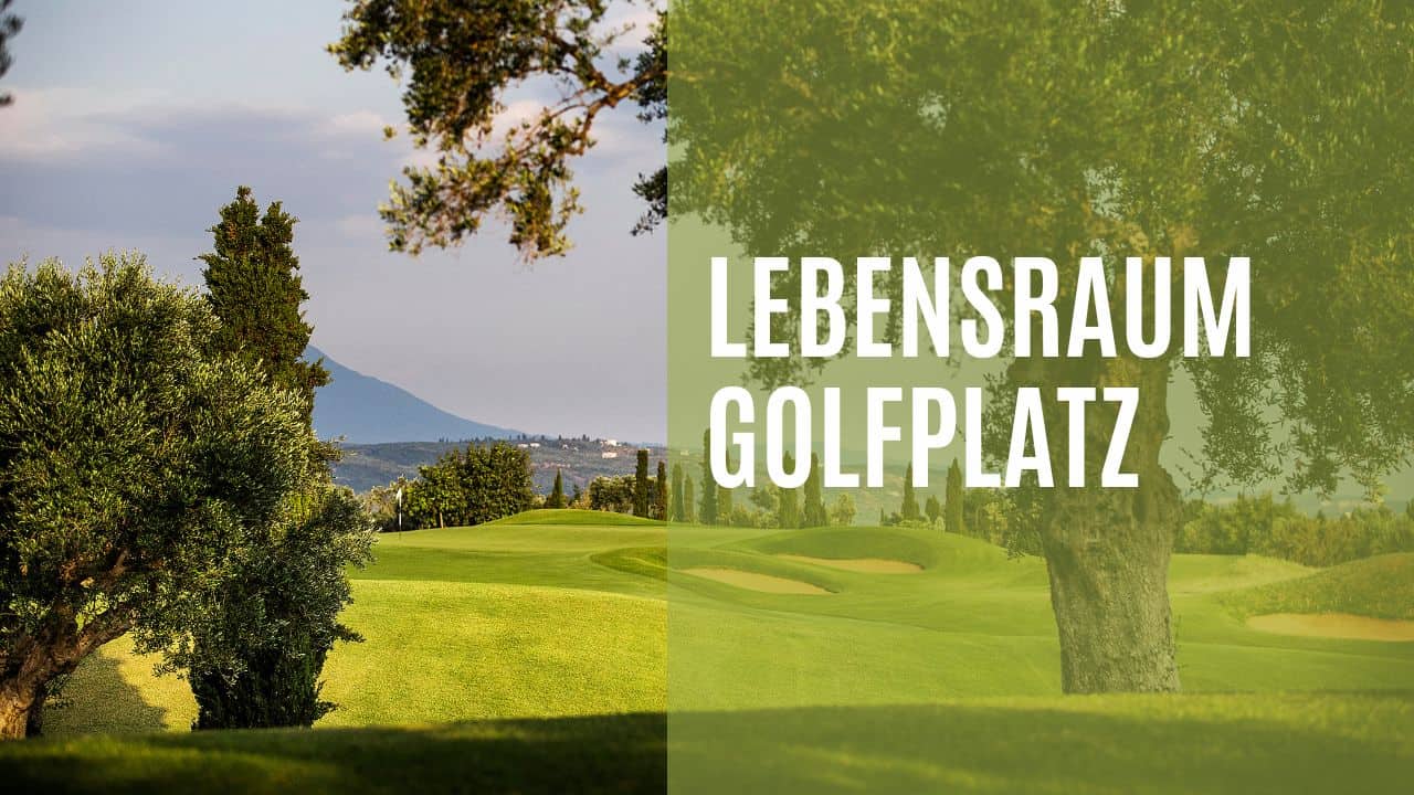 Habitat golf course Golf Sustainable Habitat golf course Golf Sustainable