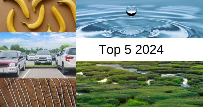 Collage aus fünf Bildern zum Thema Nachhaltigkeit