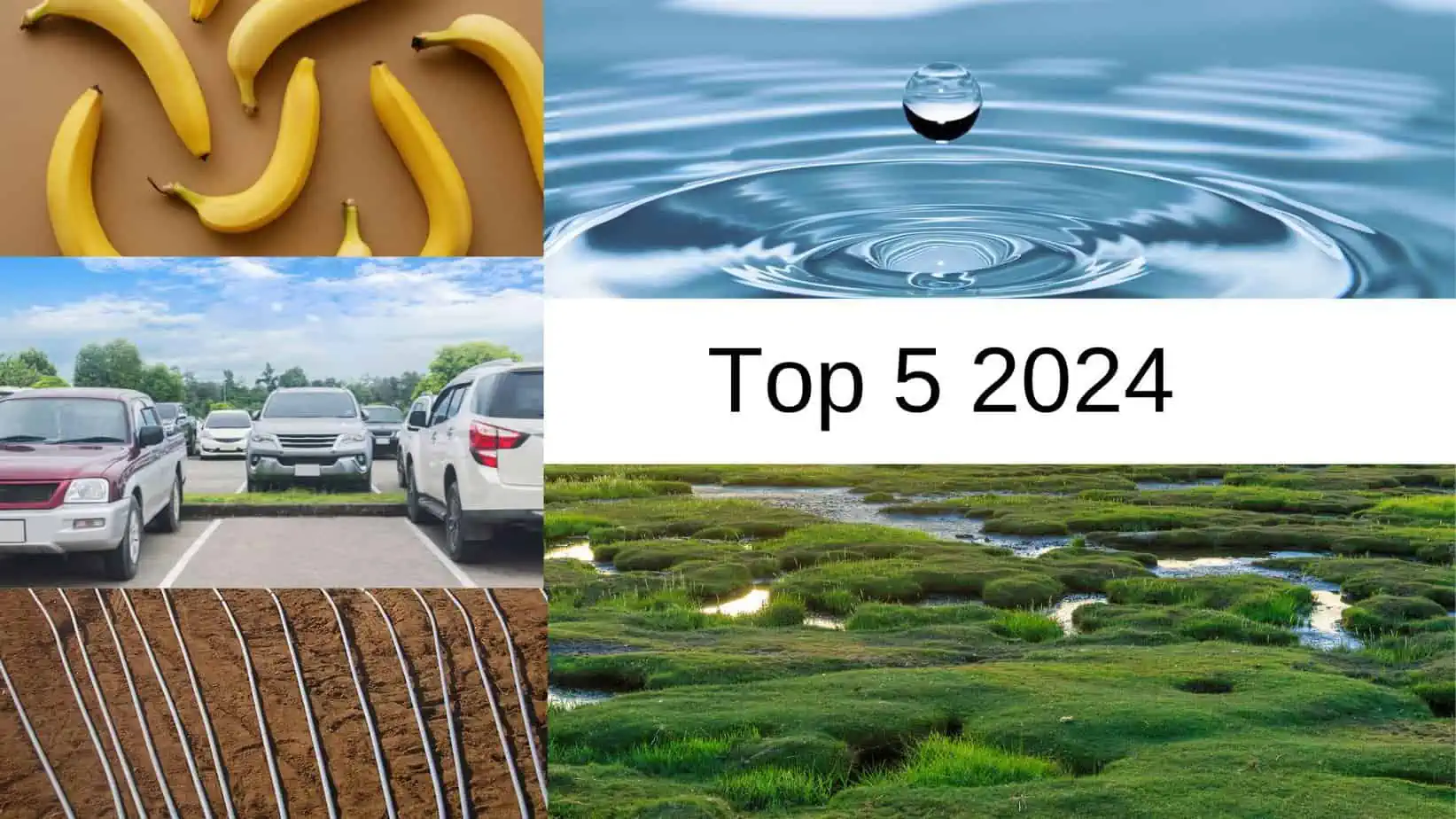 Collage aus fünf Bildern zum Thema Nachhaltigkeit