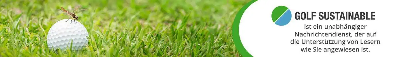 unabhaengiger_journalismus_grafik