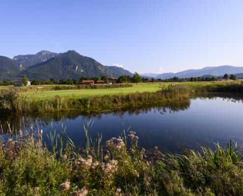 Teich im Golfresort Das Achenta