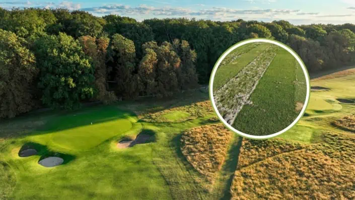 Collage aus einem Bild des Royal Kopenhagen Golf Clubs und einer Versuchsfläche für Gräser