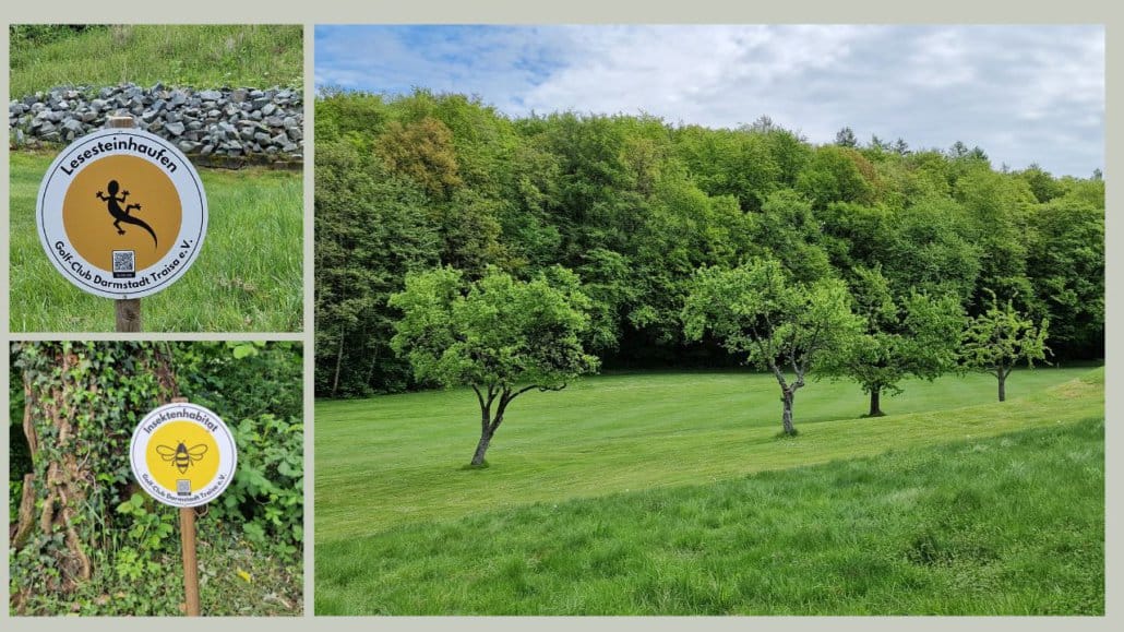 Collage aus mehreren Fotos des GC Darmstadt-Traisa
