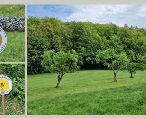 Collage aus mehreren Fotos des GC Darmstadt-Traisa