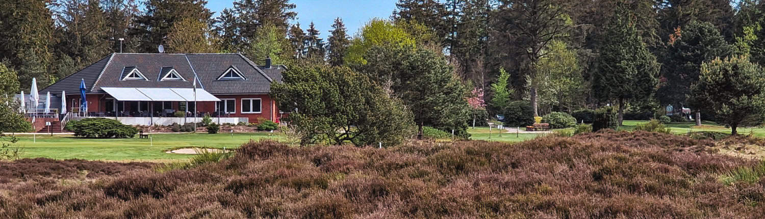 Große lila Heidefläche vor dem Clubhaus des GC Lohersand