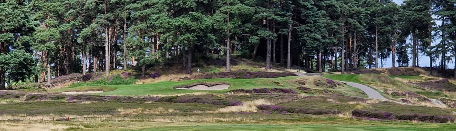 Blick auf die Heideflächen des Sunningdale Golf Club