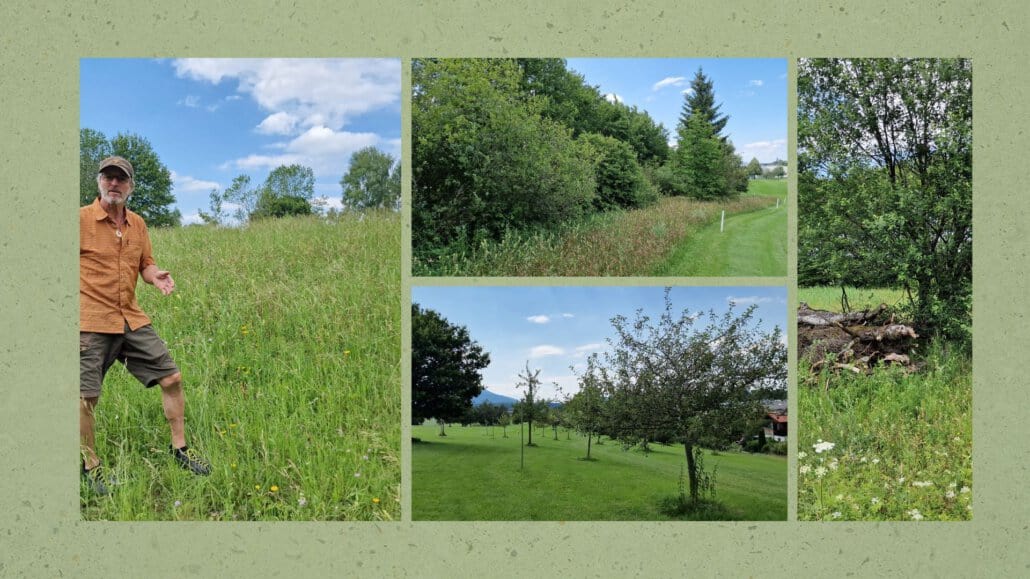 Collage von Bildern aus dem GC Isarwinkel