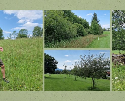 Collage von Bildern aus dem GC Isarwinkel