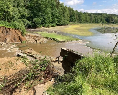 Blick auf einen Fischteich, der über die Ufer tritt.