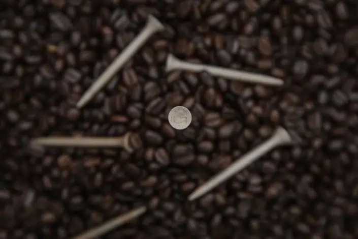 Kaffebohnen, in denen Golftees stecken