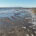 View on the salt marshes of Royal Dornoch