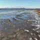 View on the salt marshes of Royal Dornoch