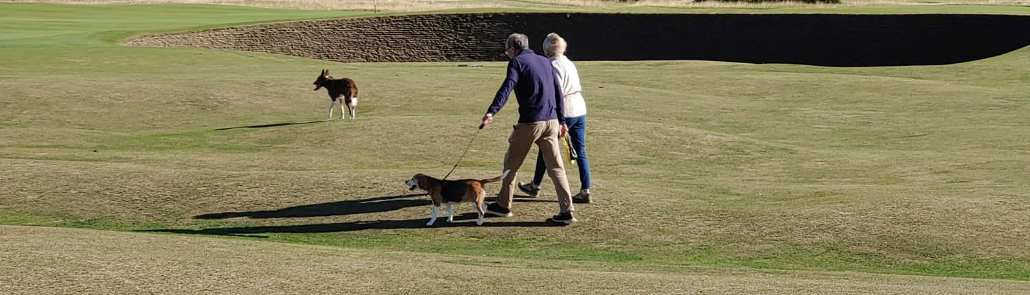 Spaziergänger mit Hund auf dem Old Course