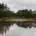 View of a flooded golf course