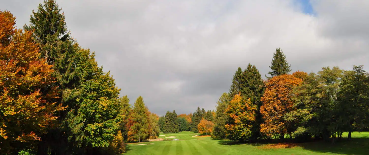 View on one golf hole with trees