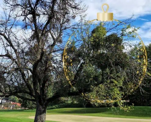 Streuobstbaum mit Misteln