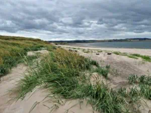 Nature based coastal protection