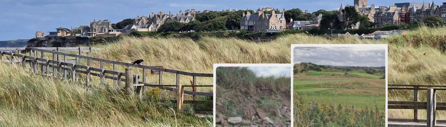 Collage aus Bildern aus St. Andrews West Sands Bank