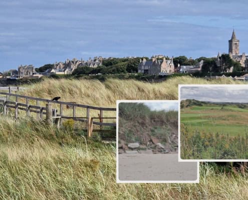 Collage aus Bildern aus St. Andrews West Sands Bank