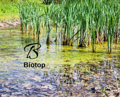 Biotop mit dem Buchstaben B darin