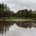 Flooding on a golf green