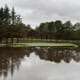 Flooding on a golf green