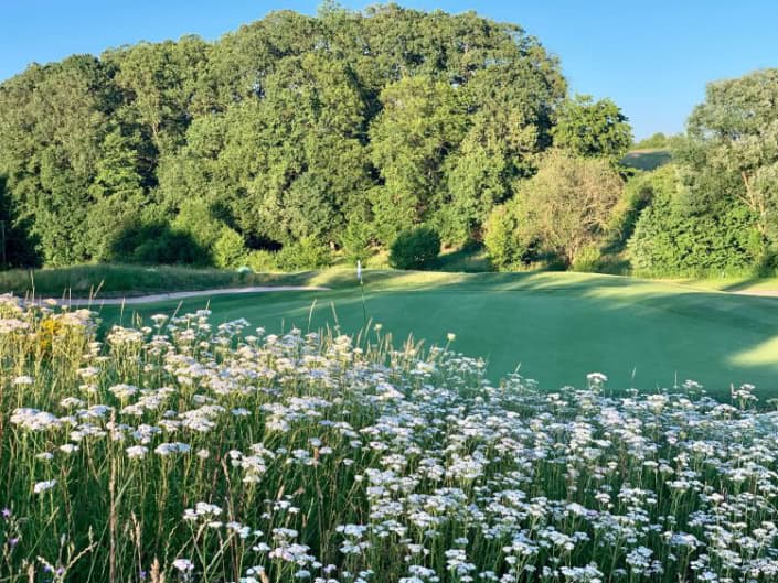 Blick auf eine Golfbahn mit Schafgarbe .