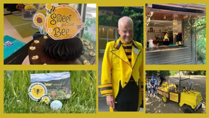 Bildercollage Deutsche Bienenwoche