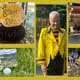 Bildercollage Deutsche Bienenwoche