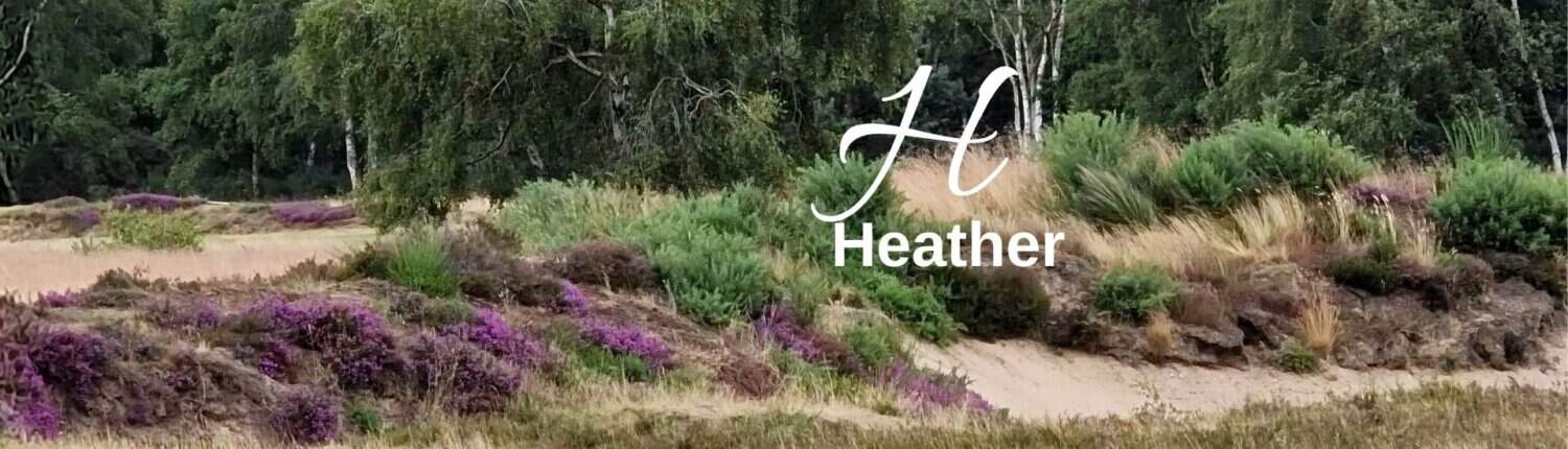 Biodiversity lexicon: Heather