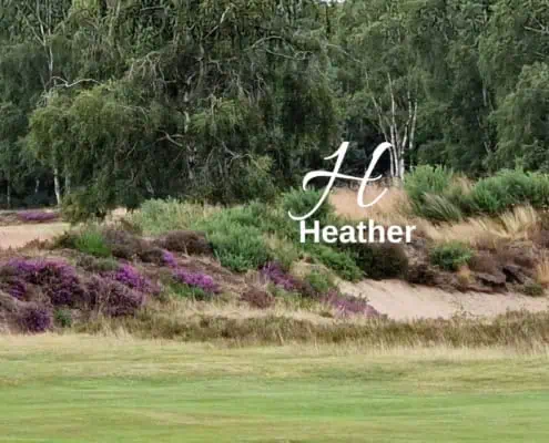 Biodiversity lexicon: Heather