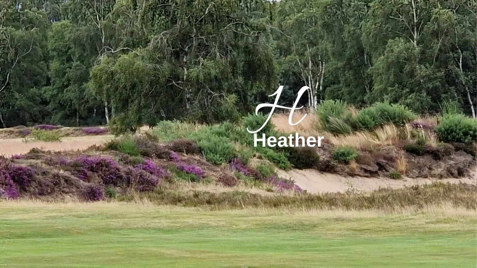 Biodiversity lexicon: Heather