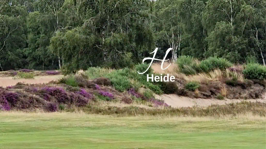 Biodiversitäts-Lexikon Heide
