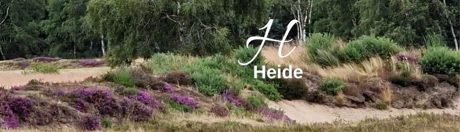 Biodiversitäts-Lexikon Heide
